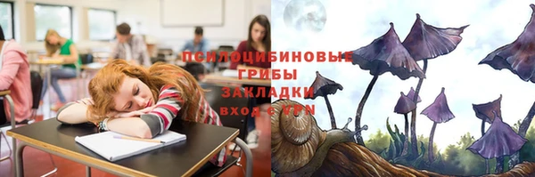 метадон Губаха