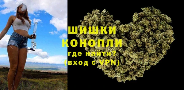 прущие грибы Пестово