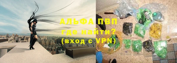 прущие грибы Пестово