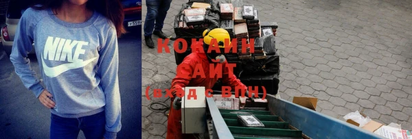 прущие грибы Пестово